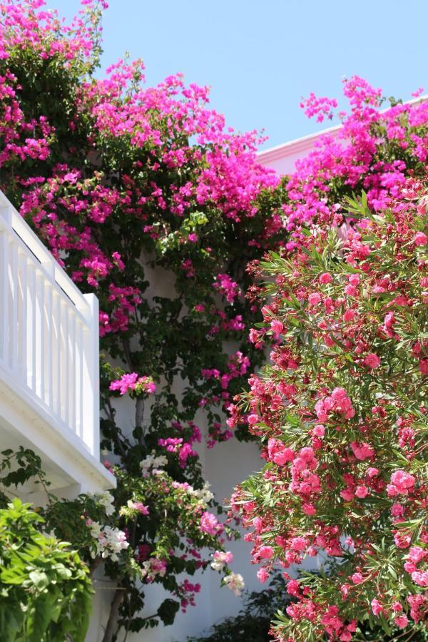 SPIROS&HIROKO Hotel - ADULTS ONLY Perissa  Exterior foto